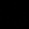 nikol_lee